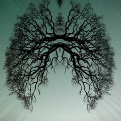 Medicinmannen: Andas - The Pan Piper Remix