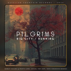 P1lgr1ms - Big City (Marley Hughes & Peshta Gora Remix) [Stellar Fountain]