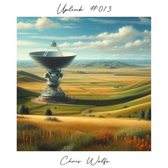 Uplink 013