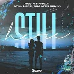 Robin Tinholt - Still Here (Braaten Remix)
