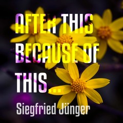 After This, Because Of This - Siegfried Jünger. Ambient music. Ambient type beat.