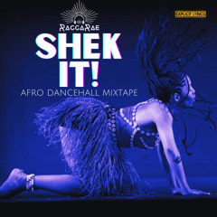 SHEK IT! Afro Dancehall Mixtape