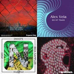 Dirtybird Heaters   Booty Tech House Heaters