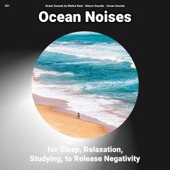 Sea Noises