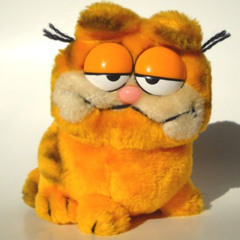 pay attention arrangement