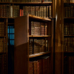 A secret Door behind the Shelves
