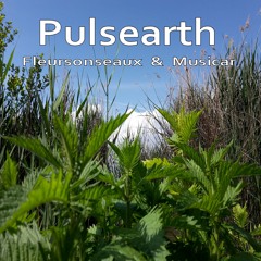 Pulsearth (feat. Fleursonseaux)