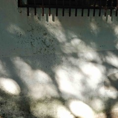 Into the day