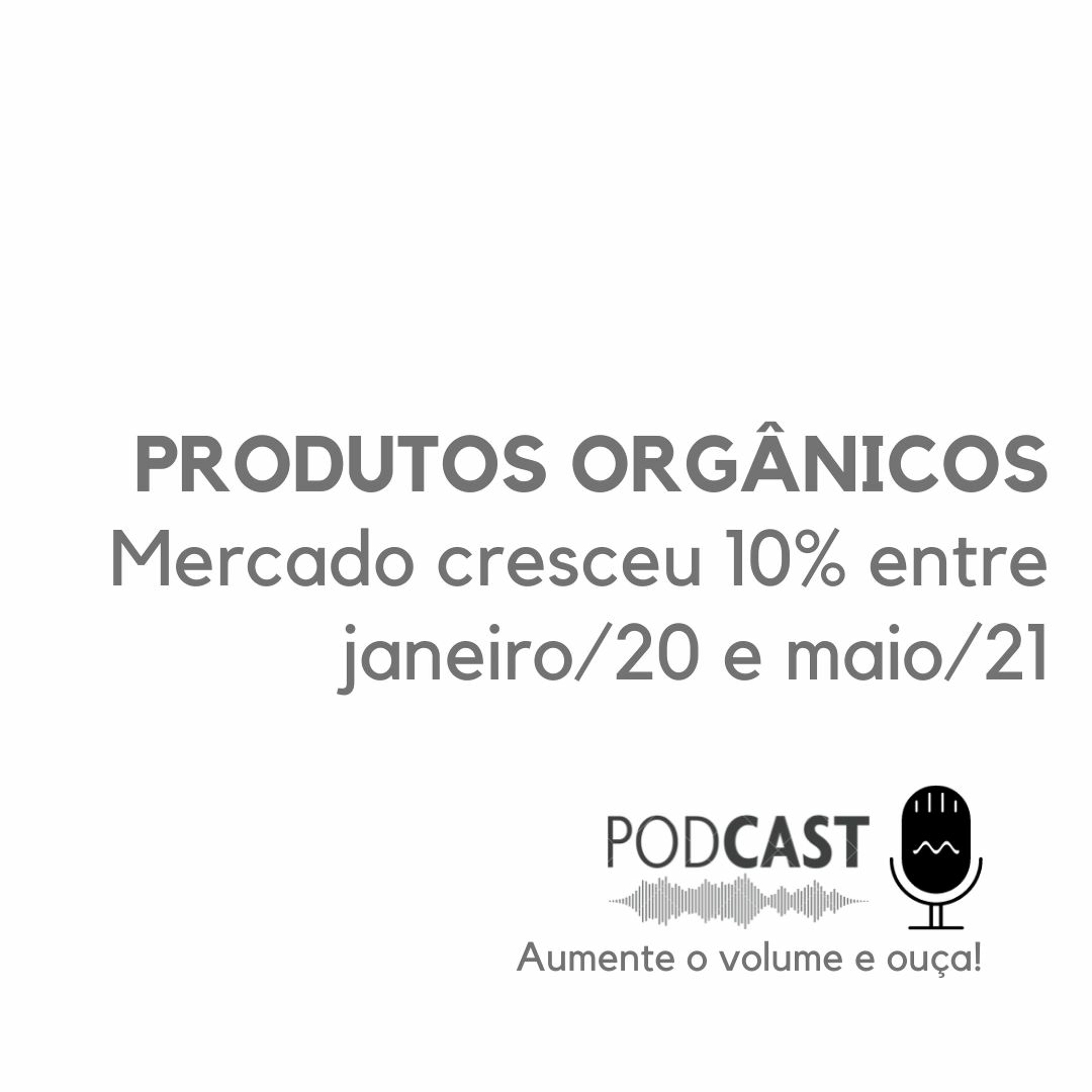 Marketing Digital Inteligente