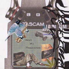 Диктофон Tascam (Мерзкий, Ma estro, JEW3SS, рина золофт)
