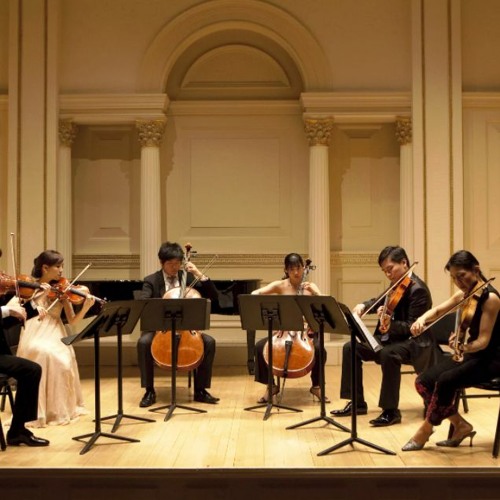 zither, best background - (FREE DOWNLOAD)