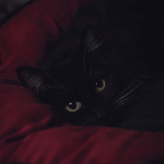 It Takes My Pain Away