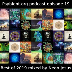 psybient.org podcast ep19 - Neon Jesus - Best of 2019