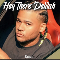 Hey there Delilah Remix - Fanum wit the cannon