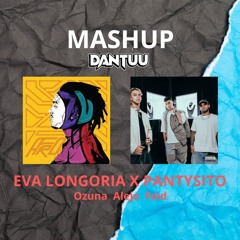Eva Longoria X Pantysito - Ozuna, Alejo, Feid (DANTUU MASHUP)