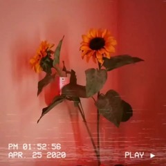the day you picked a flower for me