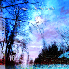 friends with the walls ★ [prod. grayskies]