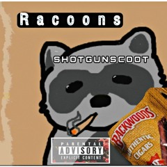 RACOON - prd by Marselis