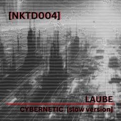 [NKTD004] LAUBE - Cybernetic [slow version]