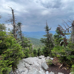 Addicted to my ex - threddward