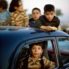 ş i i R