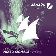 Lonely Boy - Mixed Signals (Matt Meler Remix)