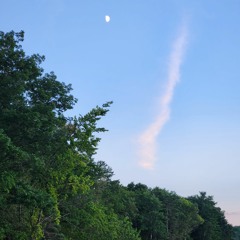 Metamorphosis (instrumental)