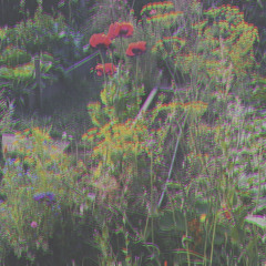 fantasy (prod. boyfifty)