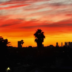 THE ART OF DETACHMENT (Dance Edit)