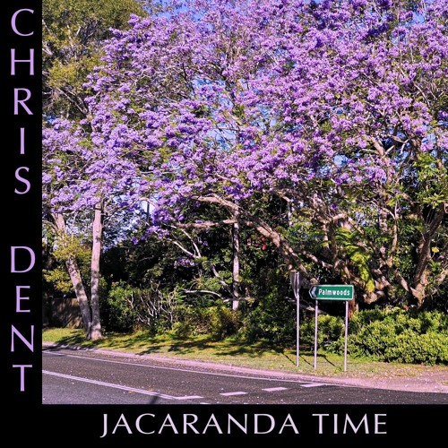 Jacaranda Time