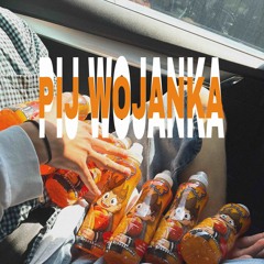 WOJANEK HOOD TRAP