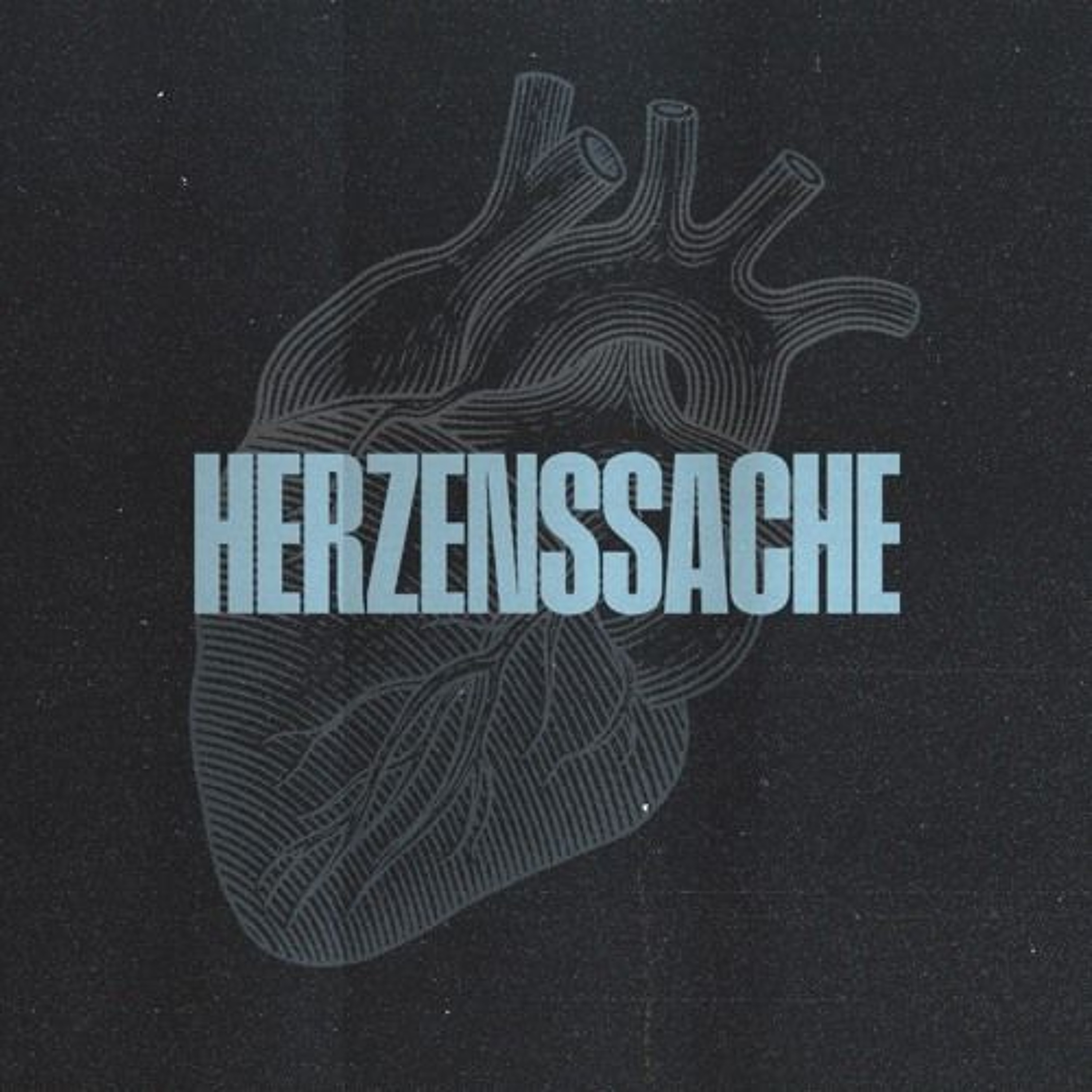 Audio-Podcast #488 // Herzenssache - Hilfe, ich hab Angst vor Menschen // 17.05.26 episode artwork