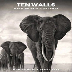 Ten Walls - Walking With Elephants (Montes De Oca Recap 2023) Free Wav Download