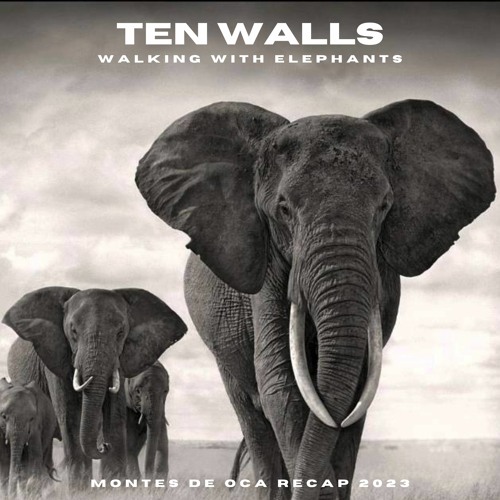 Stream Ten Walls - Walking With Elephants (Montes De Oca Recap 2023) Free  Wav Download by Montes de Oca | Listen online for free on SoundCloud