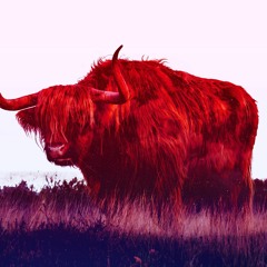 Yak Parano