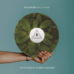 Nickodemus at Beso Salvaje - Wildtribe Vol.2 /1·1·20/
