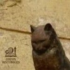 NIGHT PARADE (demo)