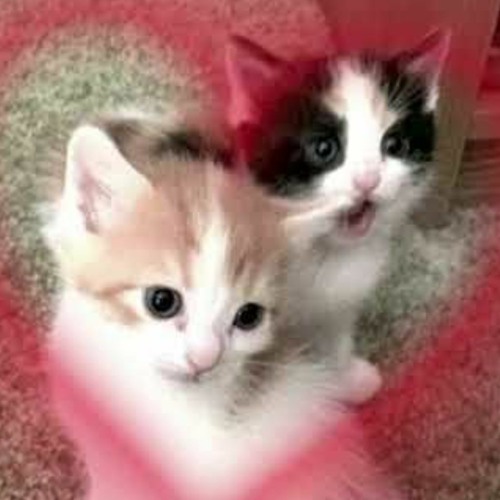 {ONEFANG} OUT OF FRAME 💞💞 {PROD ME!!!!}