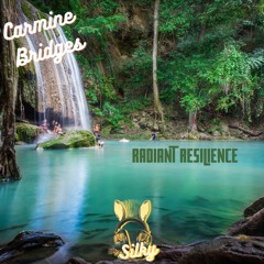 Carmine Bridges - Radiant Resilience (Mr Silky's LoFi Beats)
