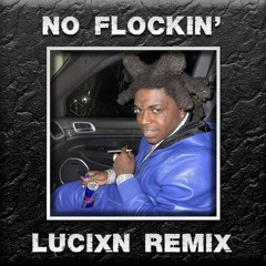 No Flockin' (Lucixn Remix) FREE DL