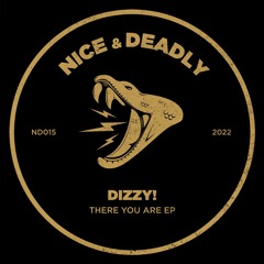 ND015 - Dizzy! - There You Are EP