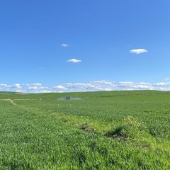 Şiyar Malatya - Dersim dağları
