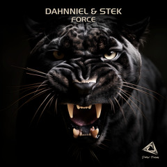 Dahnniel & Stek - Force