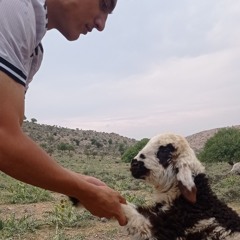 morteza.ashrafi.shabgard.ashegh(320).mp3