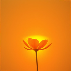 Give Love, Give Hope