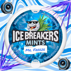 Icebreakerz