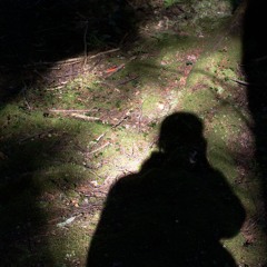 Shadow Selfie