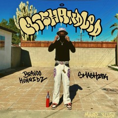 BRAVOO HUNNIDZ - Mishandled (Prod. Smash29k)