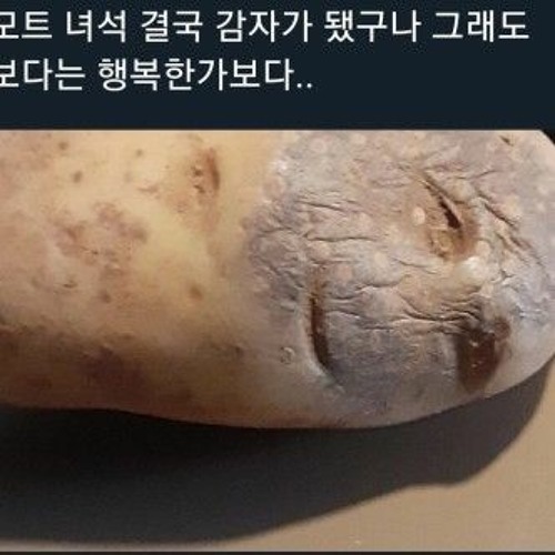 데낄라 마신 볼드모트