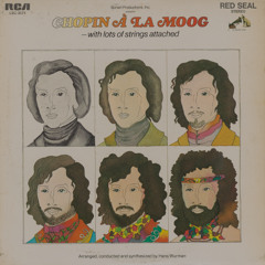 Chopin a la moog